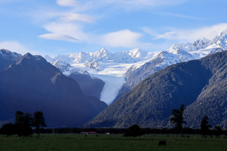 fox glacier