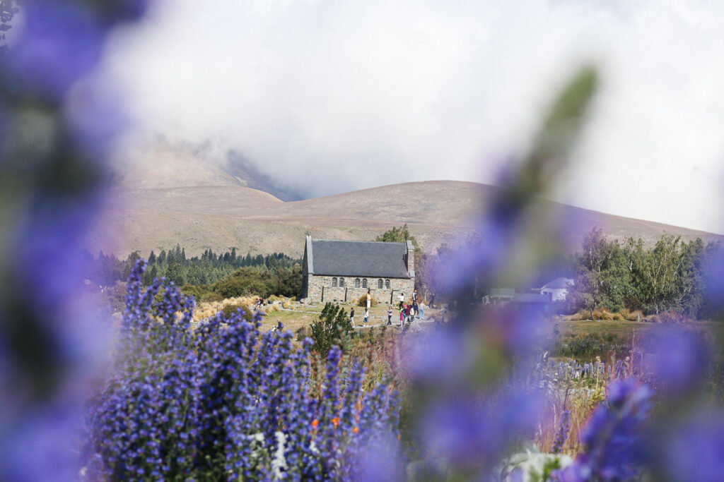 The Church of the Good Shepherd taken through Lupine flowers in summer