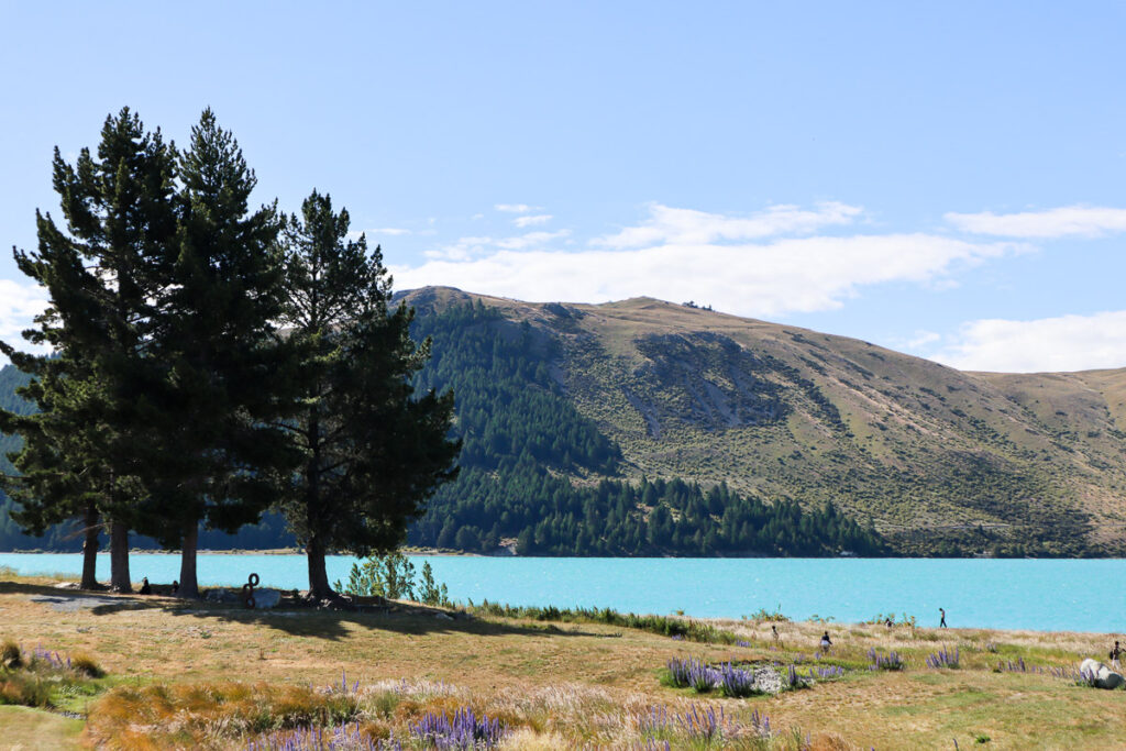 The view of lake tekapo in summer afternoon with bright blue water as we walk up from the parking.