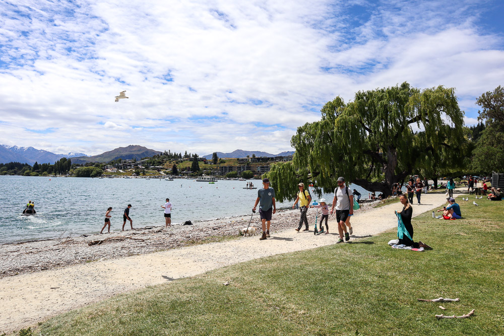 Lake Wanaka in summer with people walking their dogs, family on a stroll, jet ski, and a bird flying by.