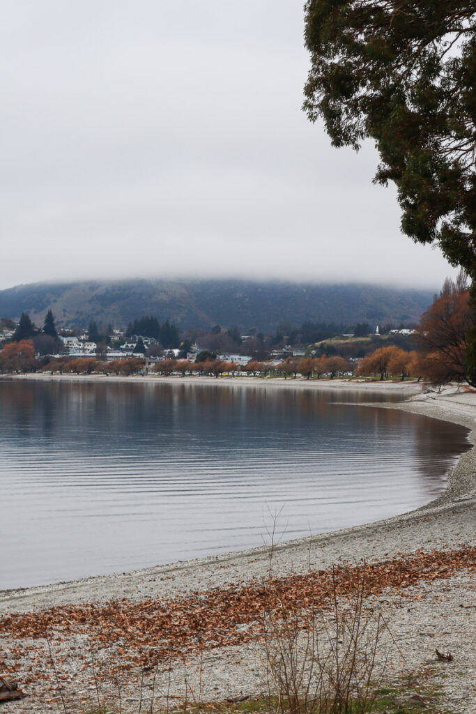 Lake Wanaka in autumn with color changing leaves and cloud covering the background