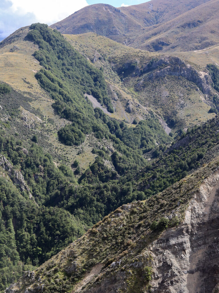 The mountains in Canterbury High Country. The lower ground covered with deep green forest.