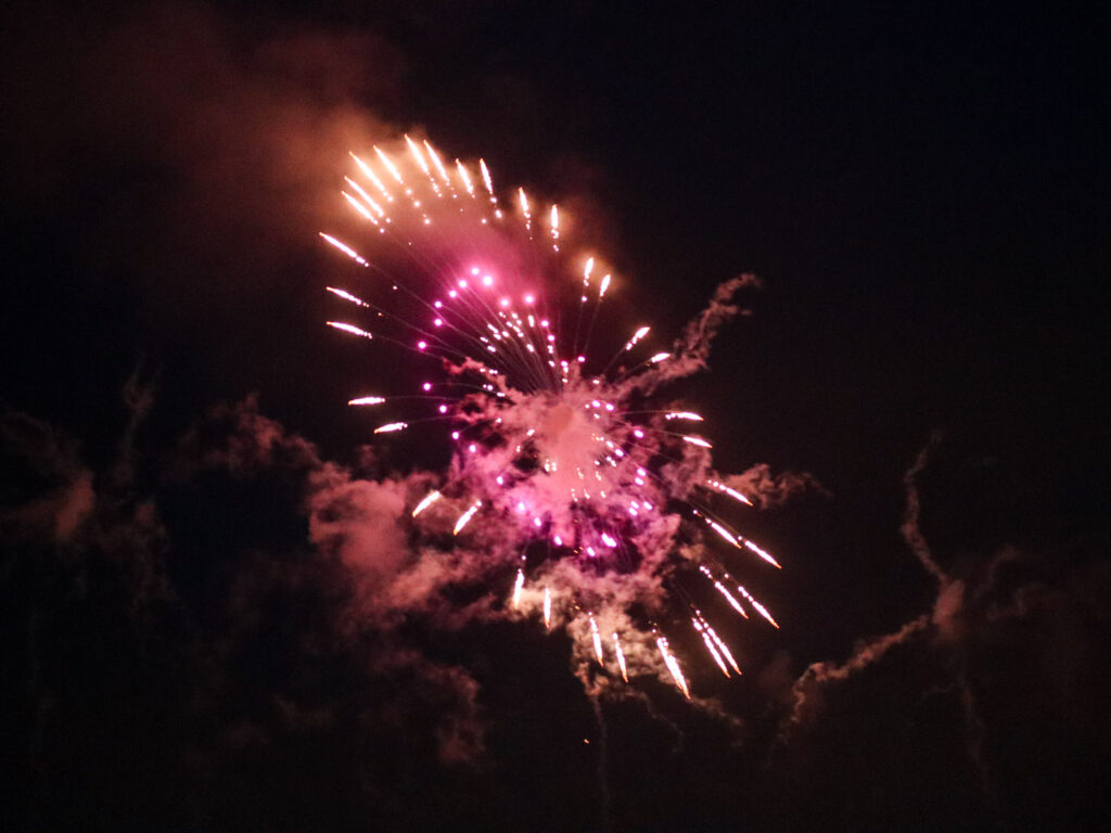 Close up of one majestic firework in Okinawa at a Japanese firework festival.
