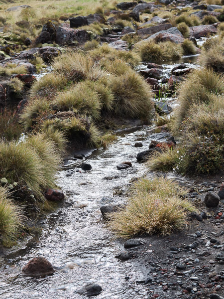 A close-up of the calming flow of a small stream running along the hiking path at Tongariro national park.