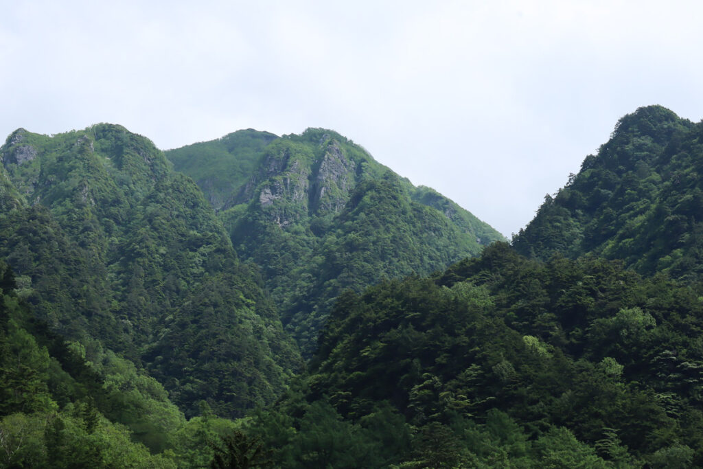 A section of the Hotaka Range from Kamikochi, trees covered throughout hugging the mountain with a luscious energetic life of summer.
