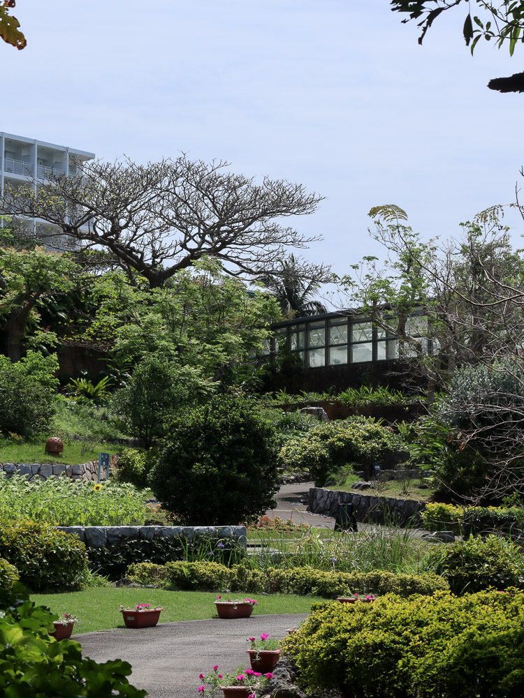 A quiet garden at Tropical Dream Center near the famous aquarium in Okinawa, a more peaceful destination.