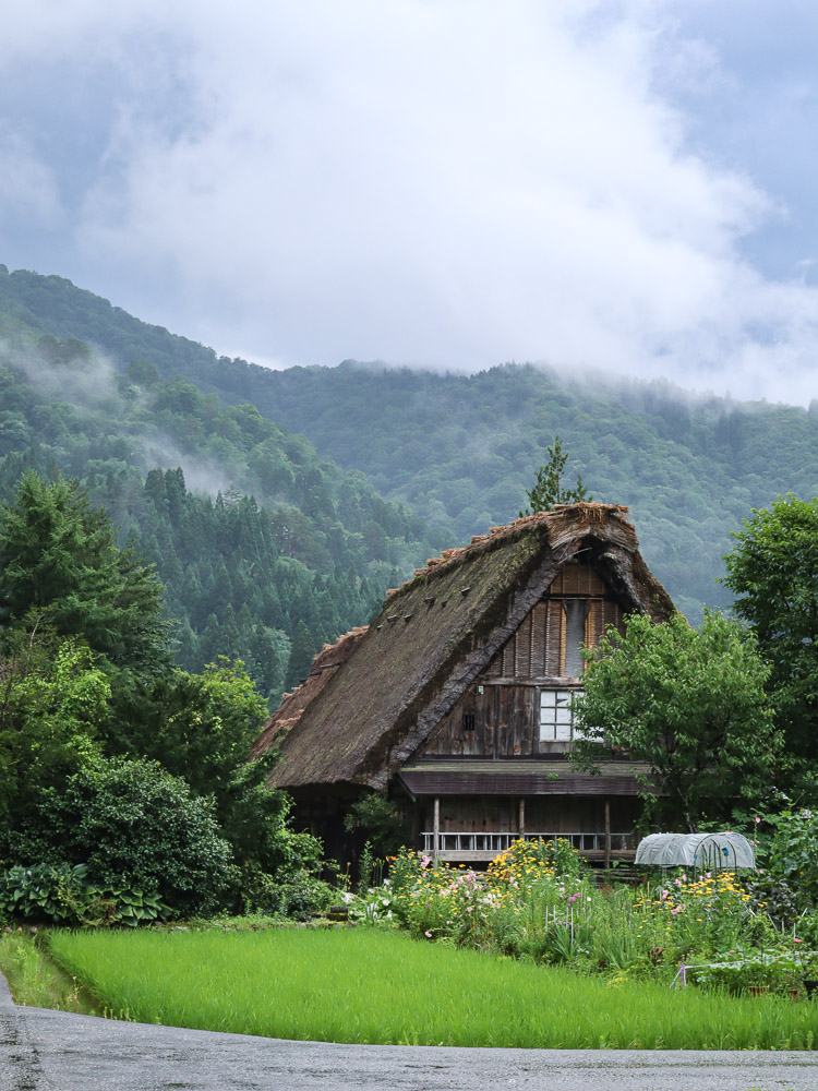Gassho-zukuri behind a rice paddie in summer, misty clouds cover the mountain behind, a great day at Shirakawa-go.