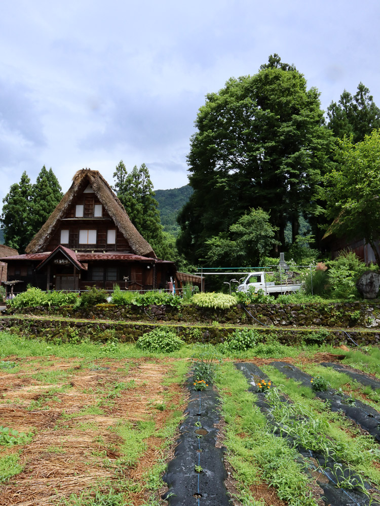 Farm in Ainokura Gassho-zukuri Village. A normal environment of the people that live there during a sunny day in summer.