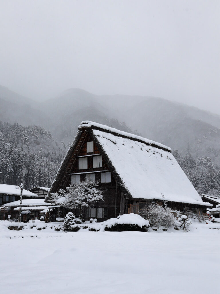 Gassho-zukuri in winter, the kayabuki covered in snow turning it all white, the ground is also fully covered.