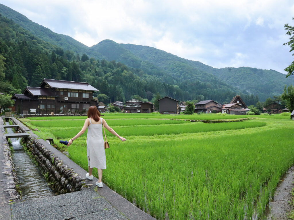 A young girl in summer clothes walking in between the green rice paddies and a flowing stream in a canal.
