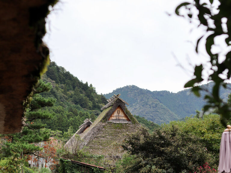 Kayabuki No Sato, and the Kitayama-type Irimoya-zukuri covered in green. a peaceful nature village.