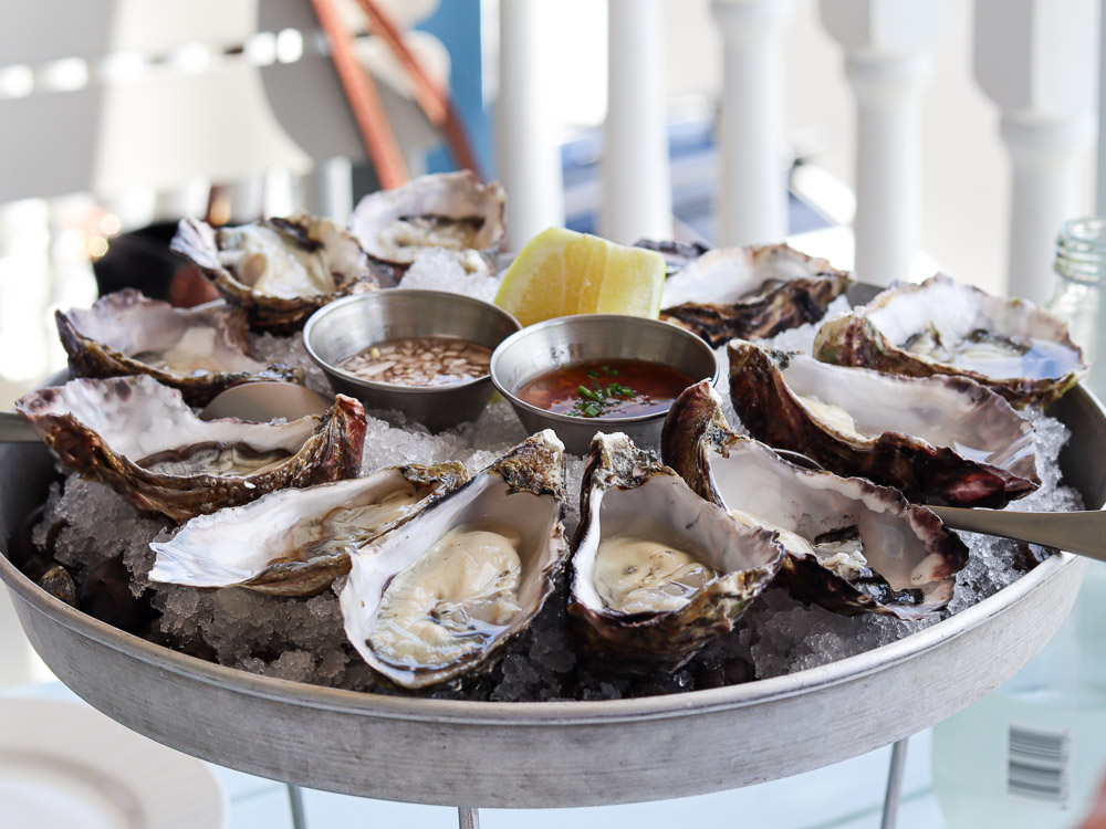 A fresh batch of Waiheke Island Oyster served on a platter.