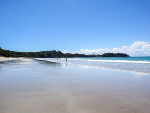 Onetangi Beach on Waiheke Island. The spacious paradise of summer, blue sky and gorgeous sand.