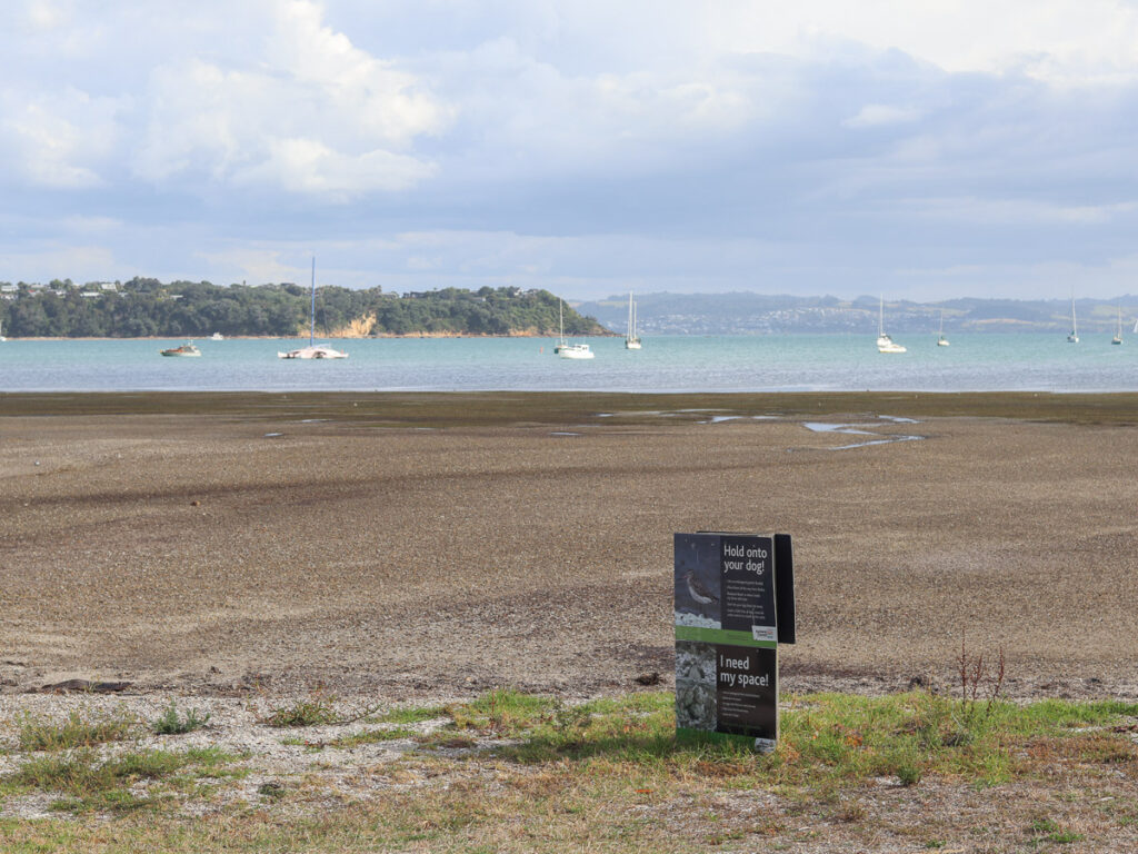 Blackpool Beach on Waiheke, an evening peaceful empty beach.