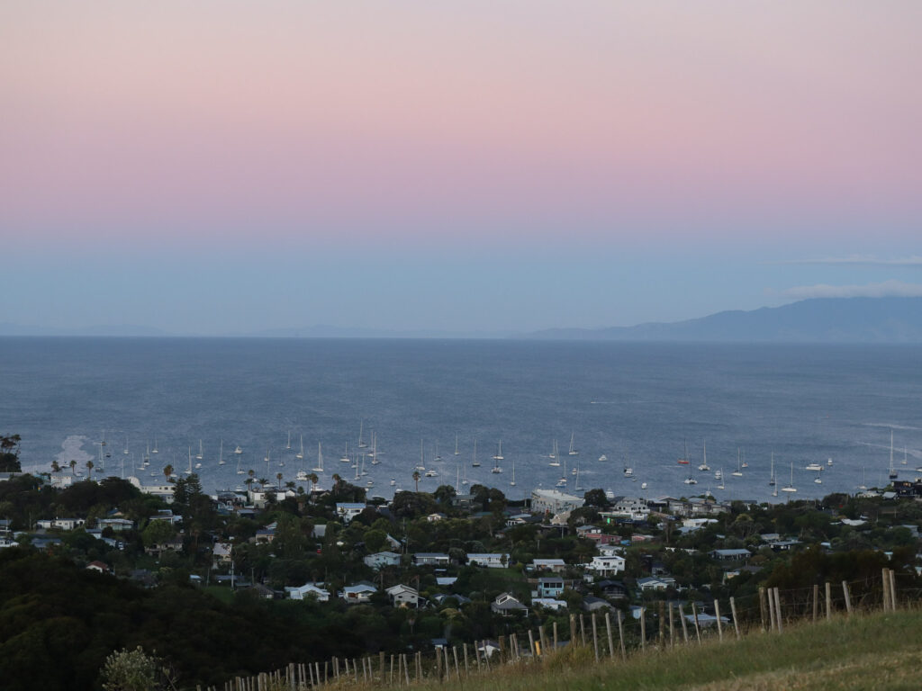 The view on Waiheke as the sunset dye the sky pink, a photo unedited of the view, but appear as if it was a drawing.
