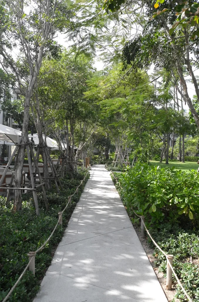 A walkway connecting the rooms and villas at Centara Reserve Samui. A serene atmosphere covered with trees.