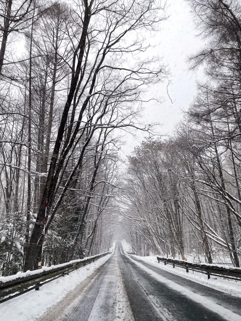 Driving through the snowy mountain road in Gifu, Japan; a lonely road in the mountain.