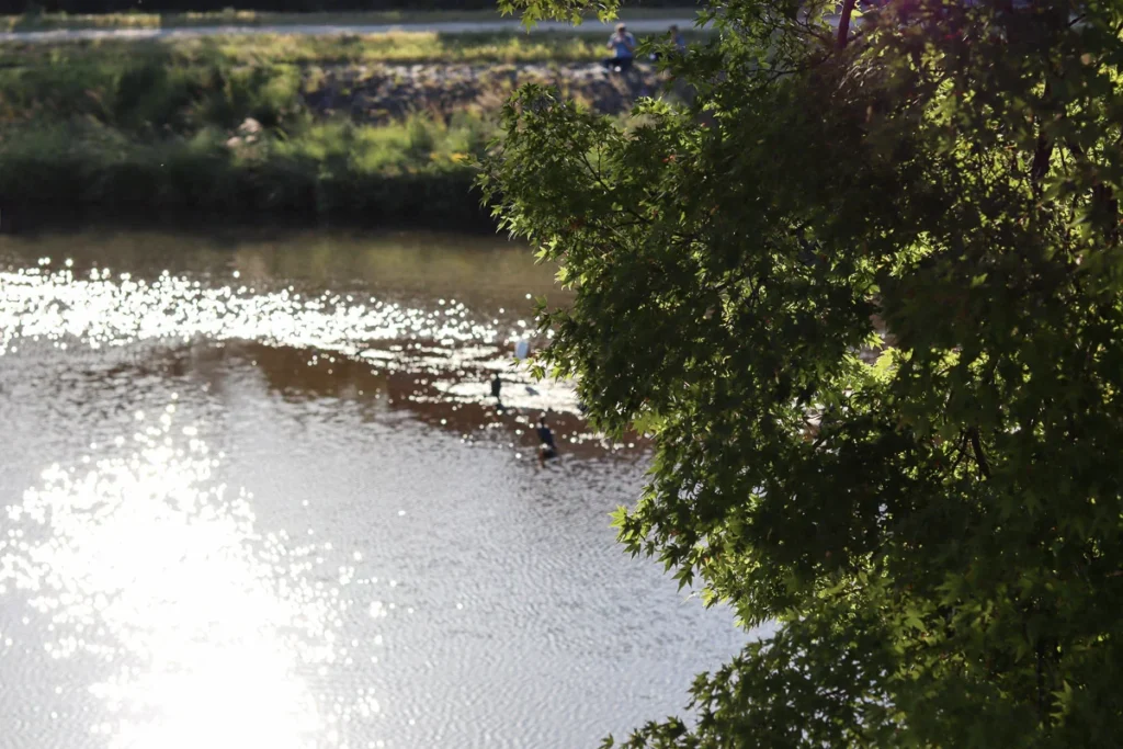 Kyoto feels like a dream, walking past a river as the evening light reflected off the water.