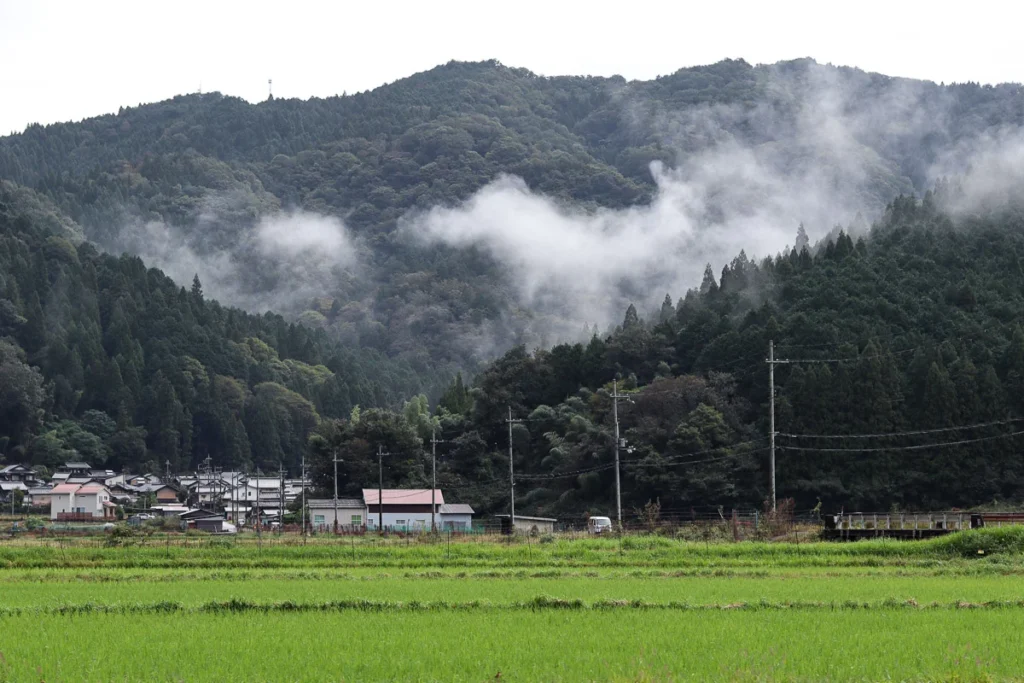 Driving through the fields with a backdrop of the mountain after the rain, feeling the fresh air and cold wind.
