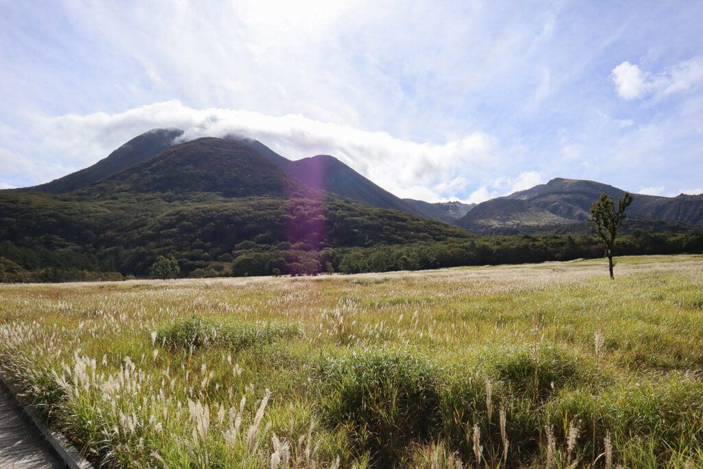 The autumn at Tadewara Wetlands, as the sea of silver grass turns into golden brown.