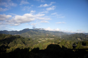 The green mountains of Kyushu, Japan. A relaxing slow travel on a sunny day.
