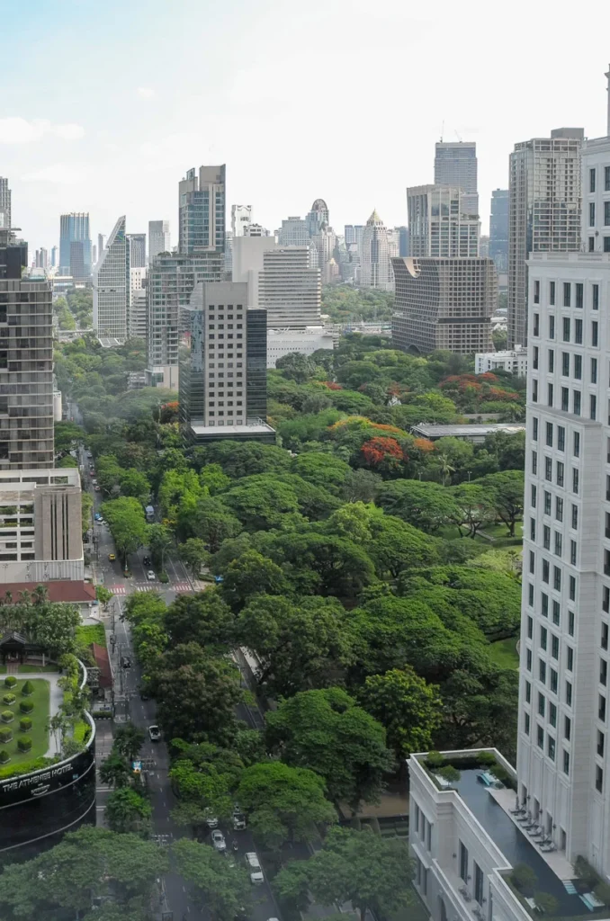The luscious greenery on Wireless Road in Bangkok from above.