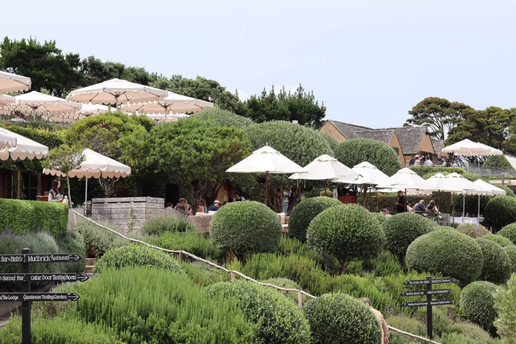 Mudbrick Vineyard & Restaurant, a one Michelin star Restaurant.