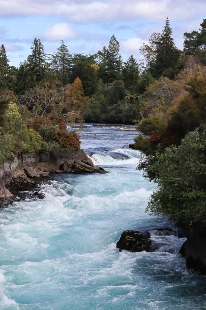 The autumn at Huka Falls, changing color of the leaves along with the continuous flow of water.