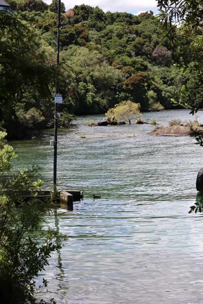 A small dock area at Rangatira Point, a perfect place to walk down and enjoy the clear water of Lake Taupo.
