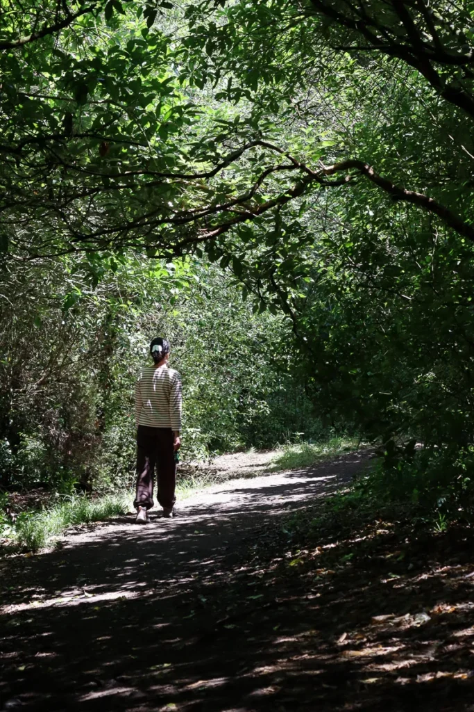 A girl on Rangatira Point walking track enjoying a peaceful walk along the edge of Lake Taupo surrounded by trees.