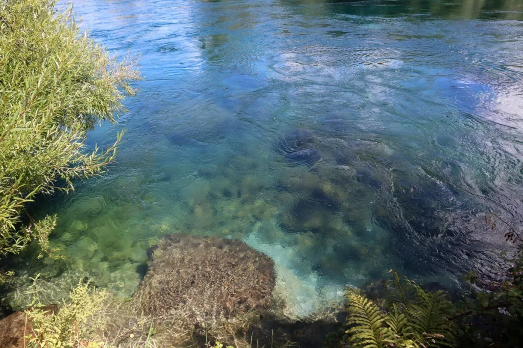 The clear blue water making the riverbed visible and the flowing current of the river.