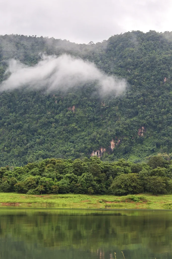 The luscious green of Baan Tao Than and a lake below.