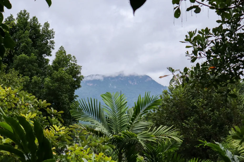 Mountain View Sai Yok National Park from Cherlynn Resort