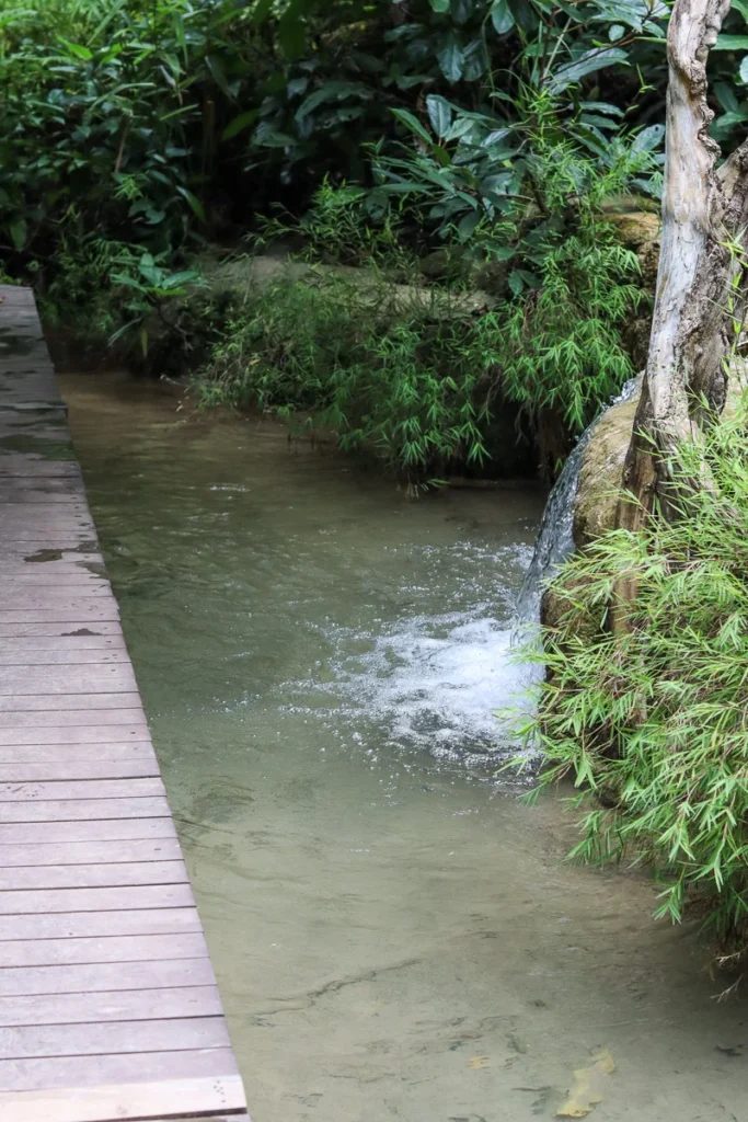 A walk through the 6th level of Erawan, a calming surrounding.