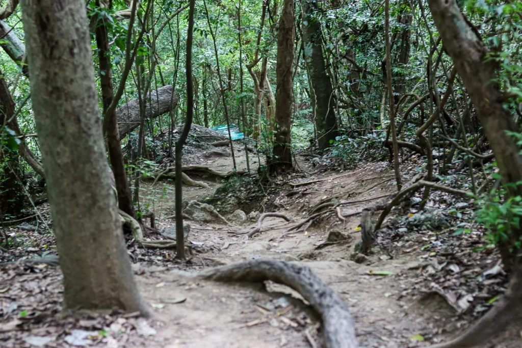 The forest trial at Erawan Falls hiking trail.